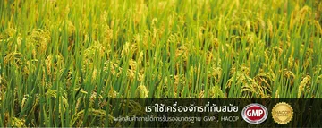 iTopPlus903538350985