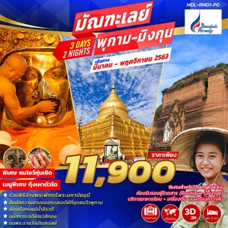 MDL-RM01-PG