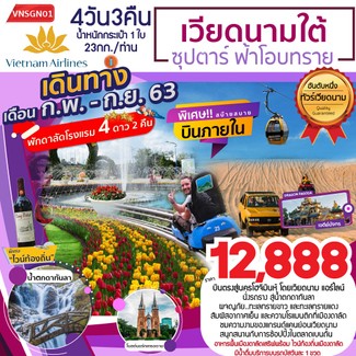 VNSGN01
