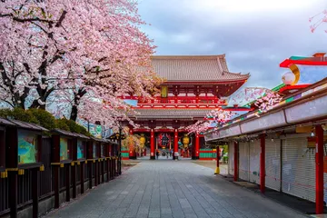 ASAKUSATEMPLESAKURA