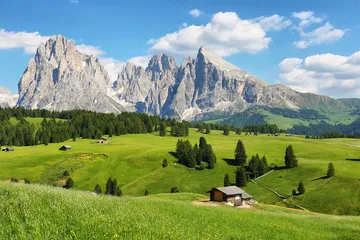 AlpeDiSiusi