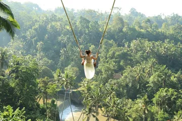 Bali-Swing