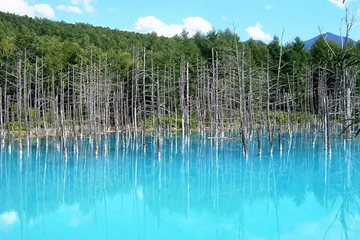 BluePond