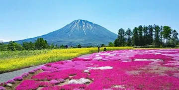 MishimaGardenSapporo