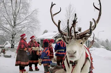REINDEERSAFARI