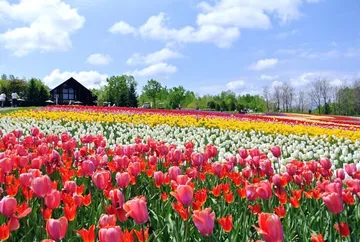 TakinoSuzuranHillsideNationalPark