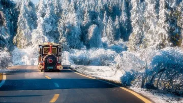 TrainFairyMaidenMountainChongqing