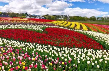 สวนดอกไม้บ๊กกะโนะซาโตะ