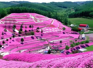 สวนฮิกาชิโมโกโตะชิบะซากุระ