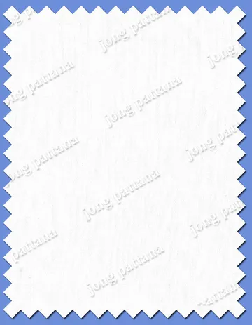 iTopPlus1120745543809