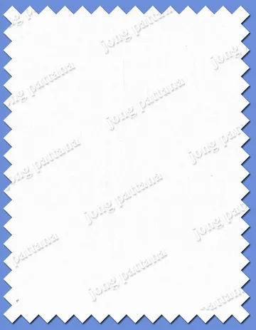 iTopPlus213855957419