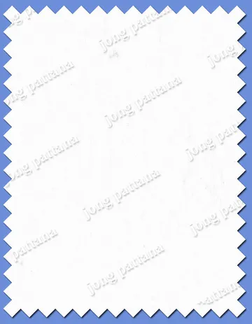 iTopPlus499774196189