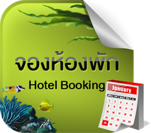 iTopPlus817525975497