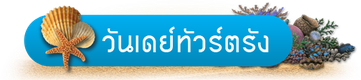 iTopPlus848058343206
