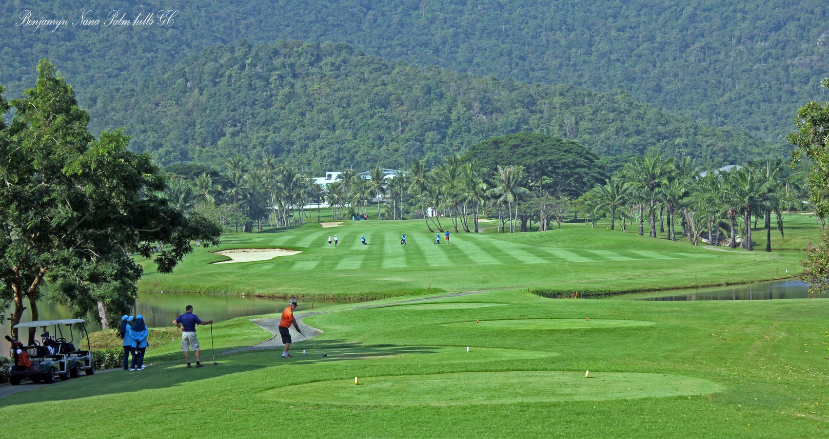 Home [www.palmhills-golf.com]