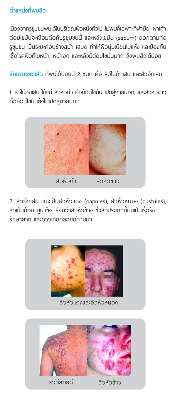 iTopPlus906637329931