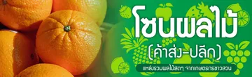 BANNER--ผลไม้2