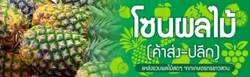 BANNER--ผลไม้3