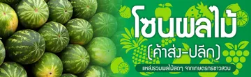 BANNER--ผลไม้4