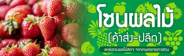 BANNER--ผลไม้5