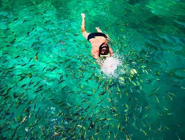 phi-phi-island-05
