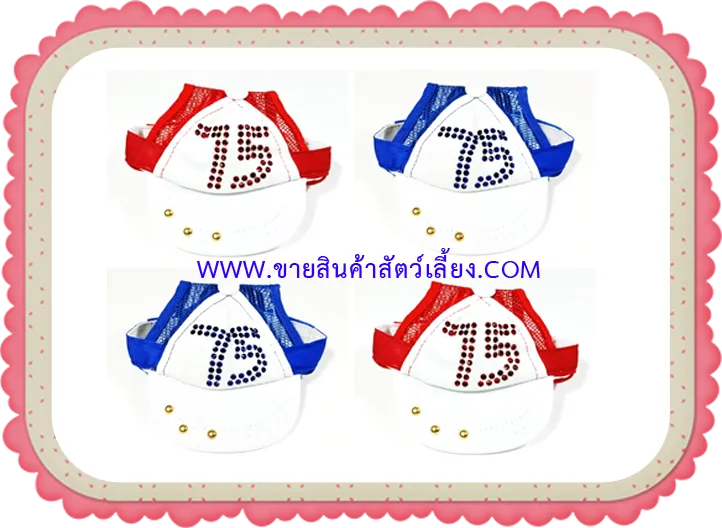 iTopPlus1053801905203