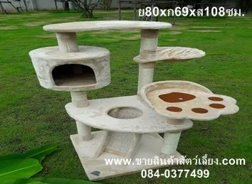 iTopPlus1081312774528