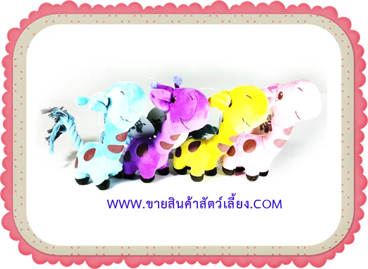 iTopPlus113104760271