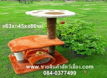 iTopPlus1207142594211