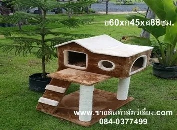 iTopPlus1239409507252