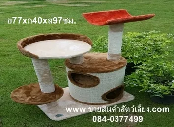 iTopPlus1265142140450