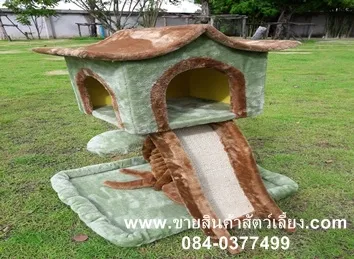 iTopPlus250586013812