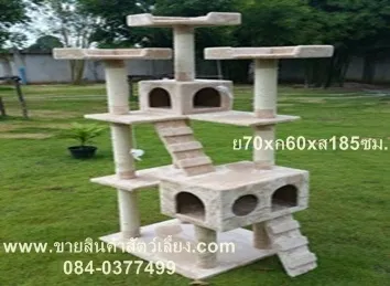 iTopPlus411962436618