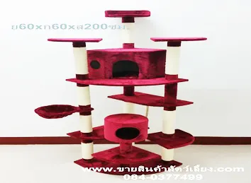 iTopPlus451488432223