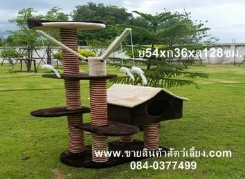 iTopPlus499090951403