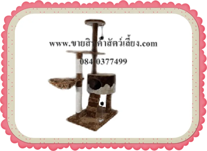 iTopPlus538636317502