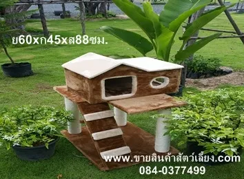 iTopPlus97754618929