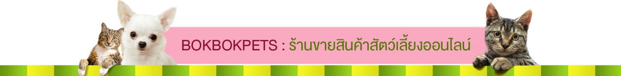 iTopPlus102433159586