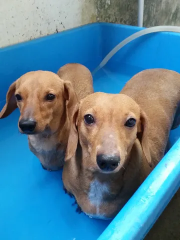 iTopPlus1019137478925