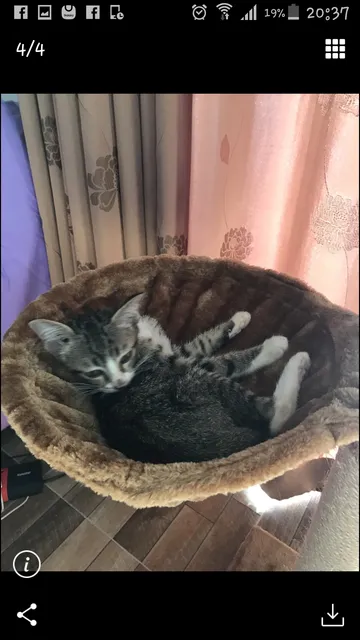 iTopPlus1064143008605