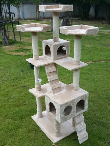 iTopPlus1320974557639