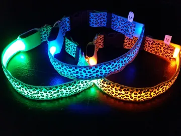 iTopPlus19701636721