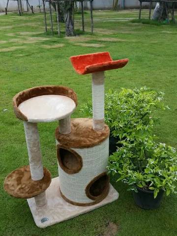 iTopPlus338906177253