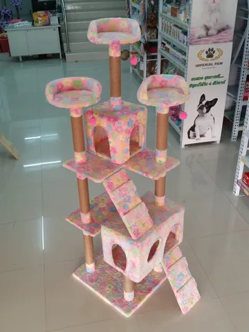 iTopPlus576350208501