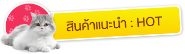 iTopPlus1129565149420