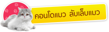 iTopPlus1218026567753