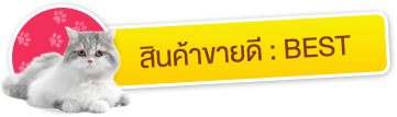 iTopPlus148933665891