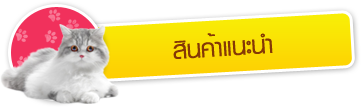 iTopPlus814504903245