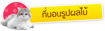 iTopPlus827097319516