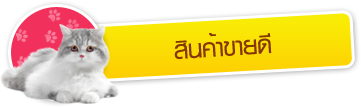 iTopPlus989806767850